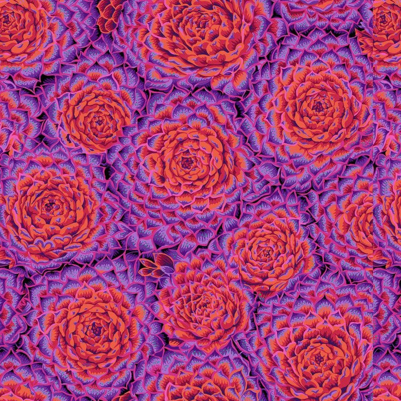 kaffe fassett succulent fabric Kaffe Fassett Collective - Succulent Red