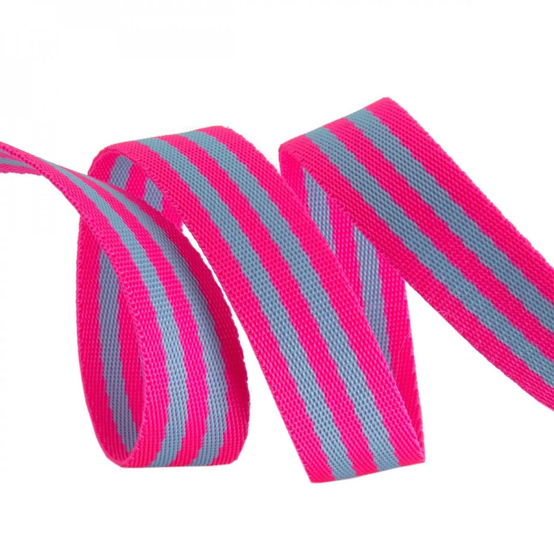 Tula Pink Nylon Webbing - 1" | Aqua + Hot Pink