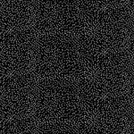 Inked - Black Moving Tiny Dot Points | C8736